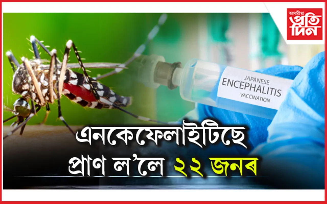 ৰাজ্যত সৰ্বত্ৰে জাপানীজ এনকেফেলাইটিছৰ সংক্ৰমণ